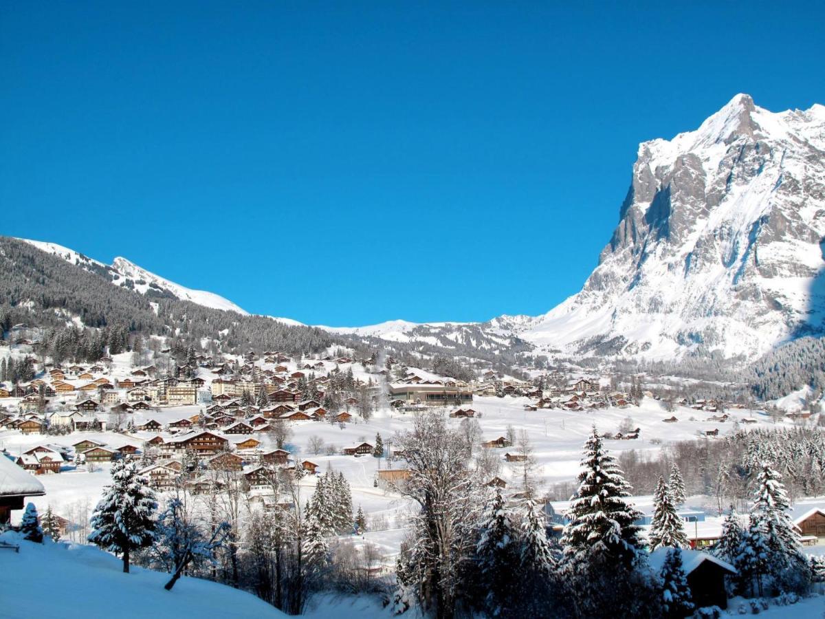 Appartement Uf Duft By Interhome Grindelwald